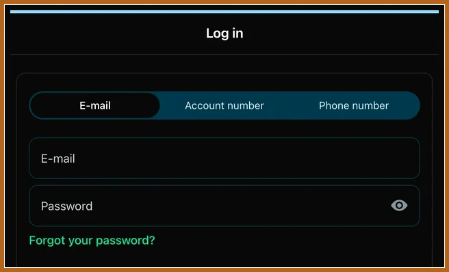 Anmeldung mit Reitern E-mail, Account number, Phone number sowie E-Mail- und Passwortfeld