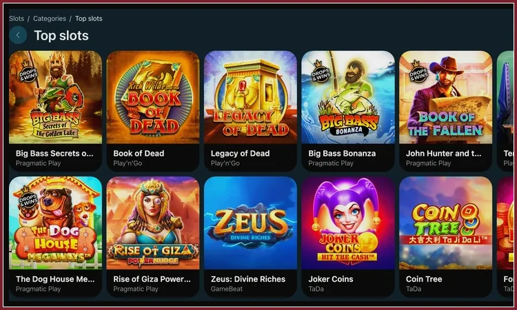 Slot-Auswahl mit Spielnamen und Entwicklern im Katalog Slot-Seite mit Legacy of Dead, Book of the Fallen, Rise of Giza