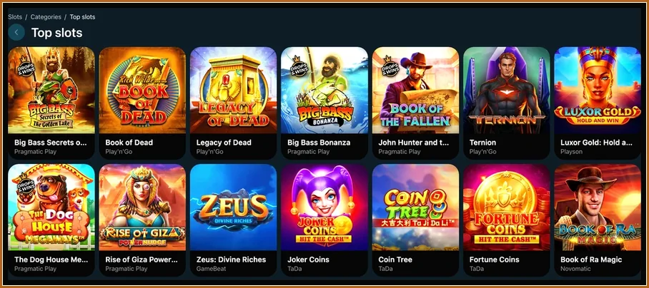 Kategorie Top slots mit Kacheln wie Book of Dead, Big Bass Bonanza und Zeus
